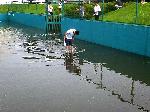 プール掃除ではありません